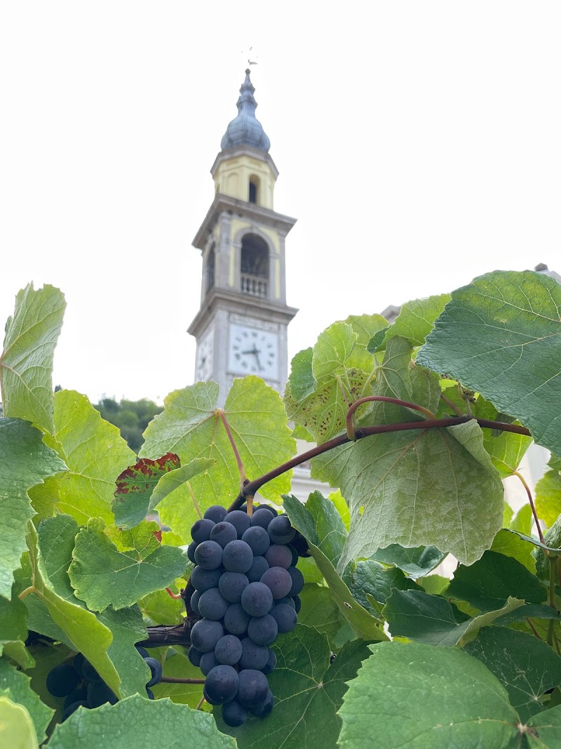 B&B Zanetton in Valdobbiadene, Italy