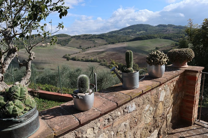 Casale del Bosco in Colle di Val d'Elsa, Italy