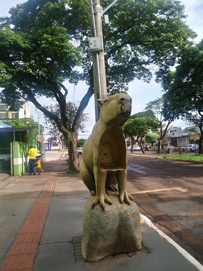 Figueira Palace Hotel in Dourados, Brazil