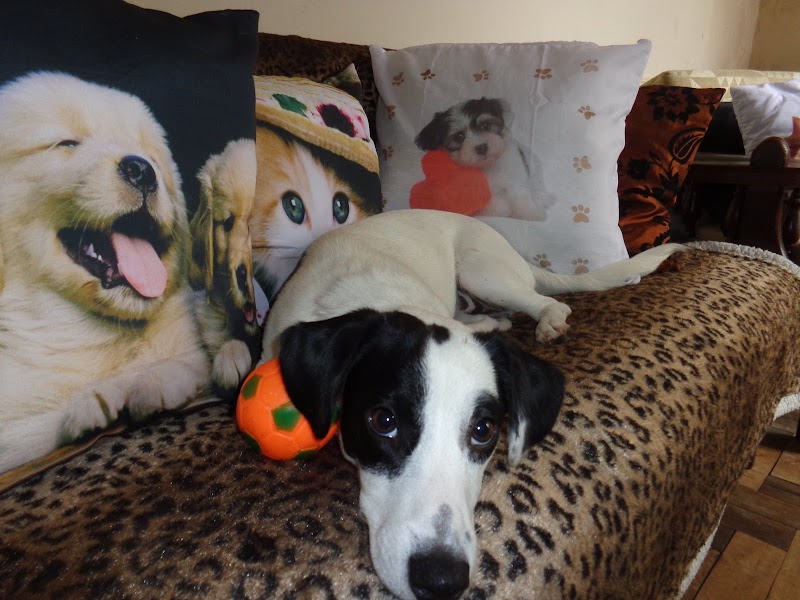 Hotel Bento in Pelotas, Brazil