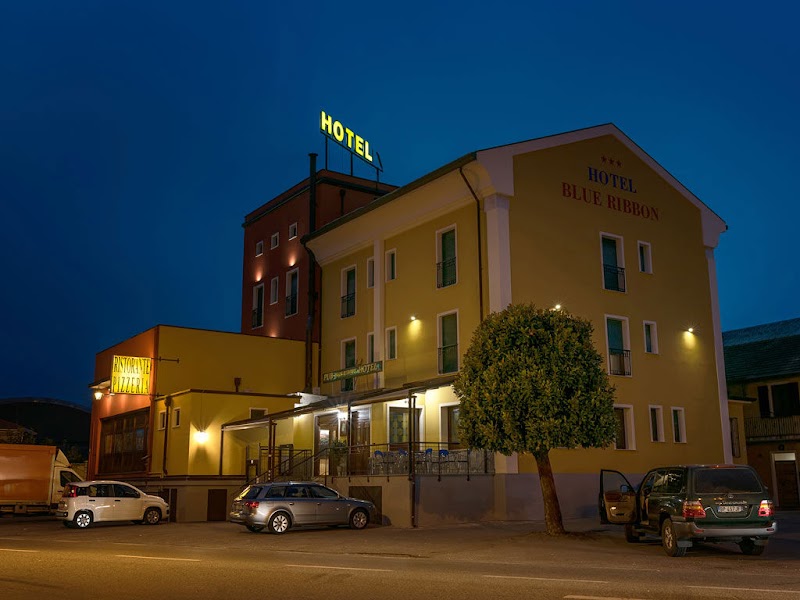 Hotel Blue Ribbon in Vercelli, Italy