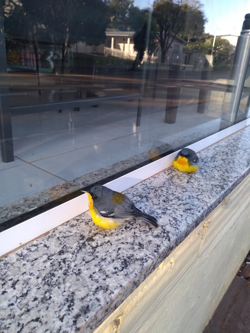 Hotel Central in Erechim, Brazil