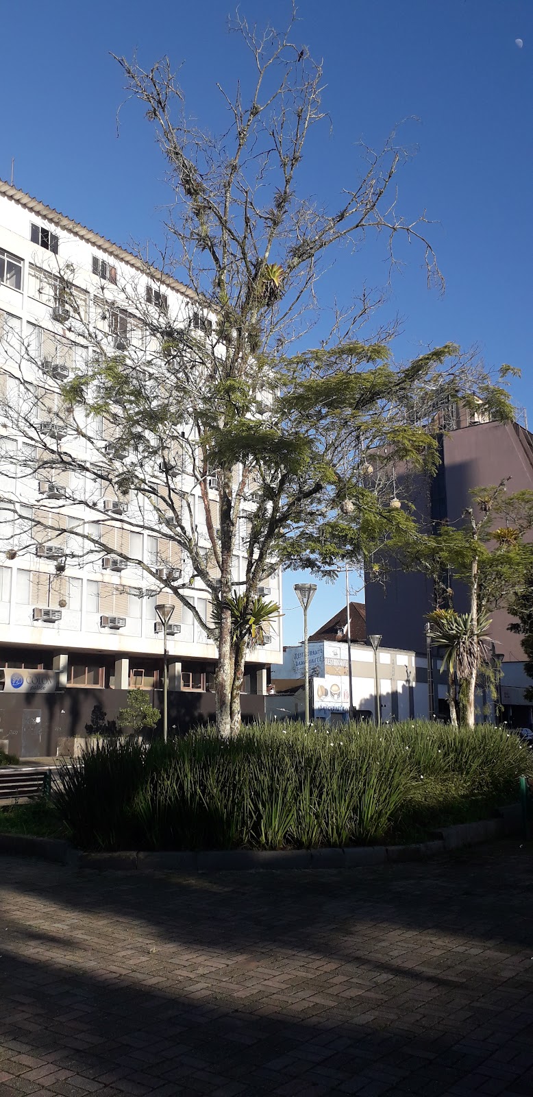 Hotel Colon Palace in Joinvile, Brazil
