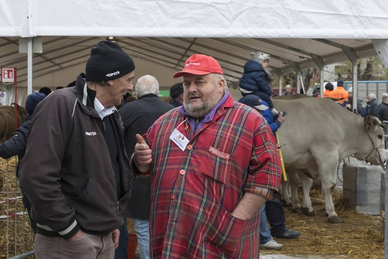 Hotel Doc in Nizza Monferrato, Italy
