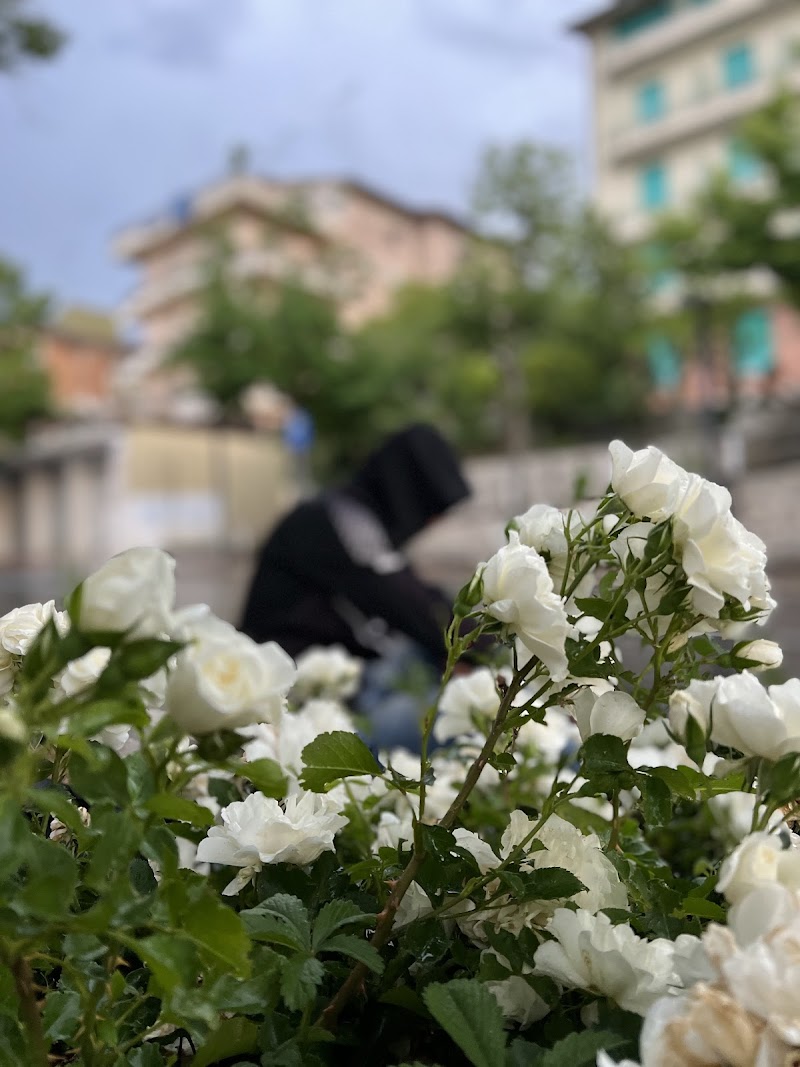 Hotel Europa in Reggello, Italy