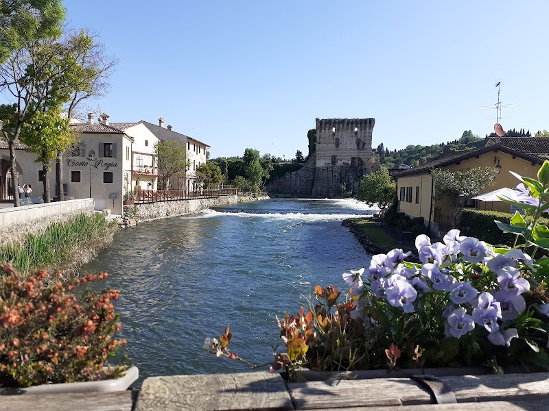 Hotel Faccioli in Valeggio sul Mincio, Italy