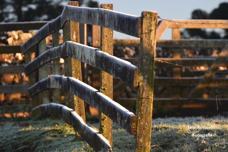 Hotel Fazenda Batavorum in Vacaria, Brazil