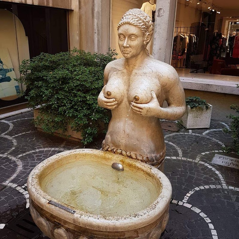 Hotel Floris in Mogliano Veneto, Italy