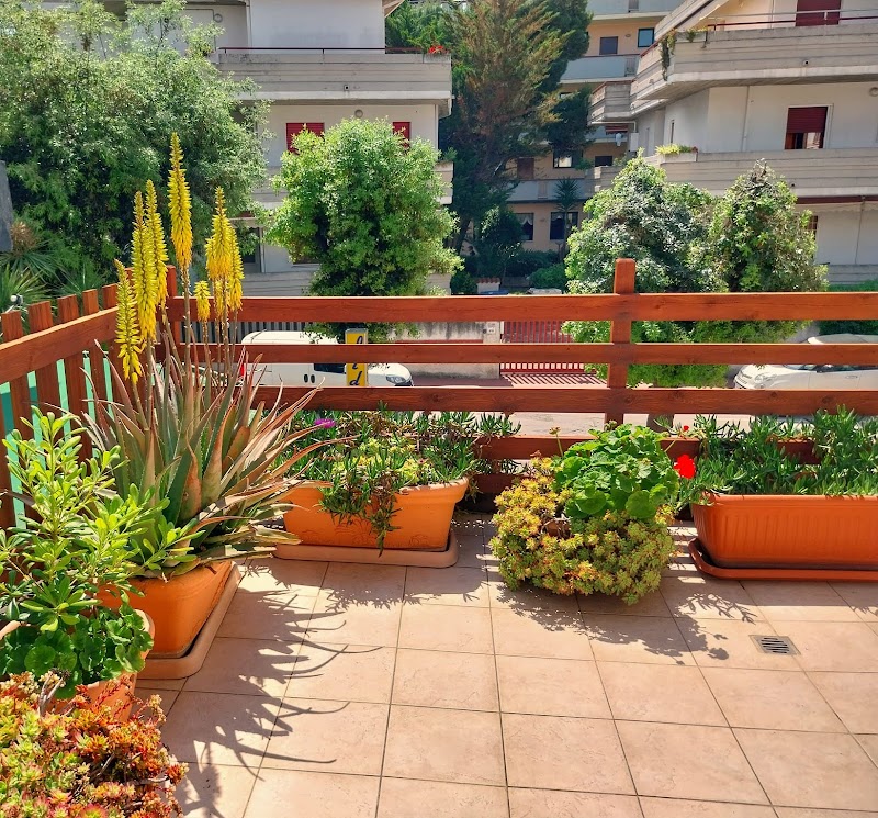 Hotel Lido in Roseto degli Abruzzi, Italy