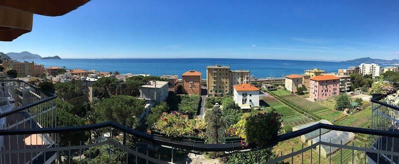 Hotel Mediterraneo in Lavagna, Italy