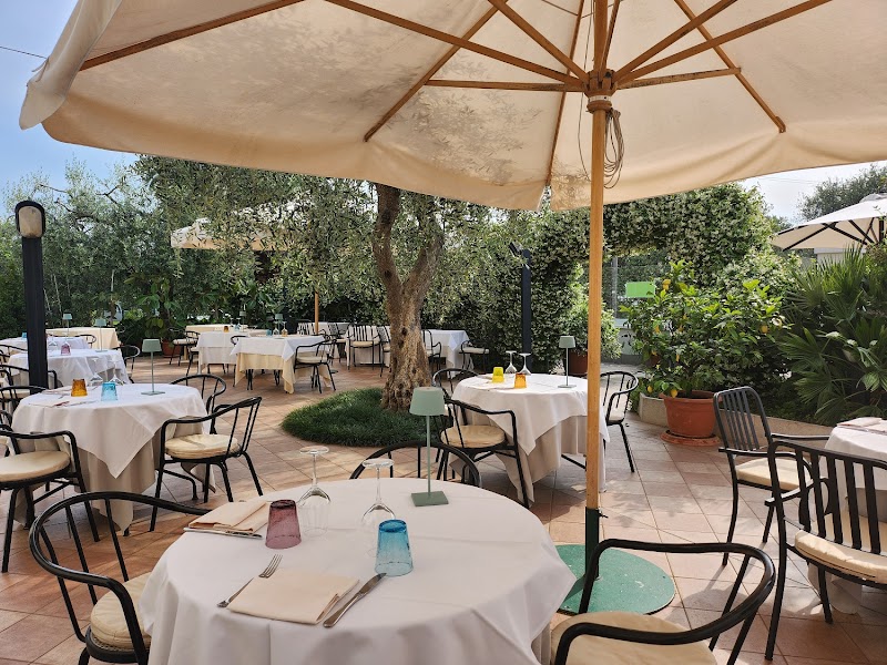 Hotel Ristorante Due Palme in Salo, Italy