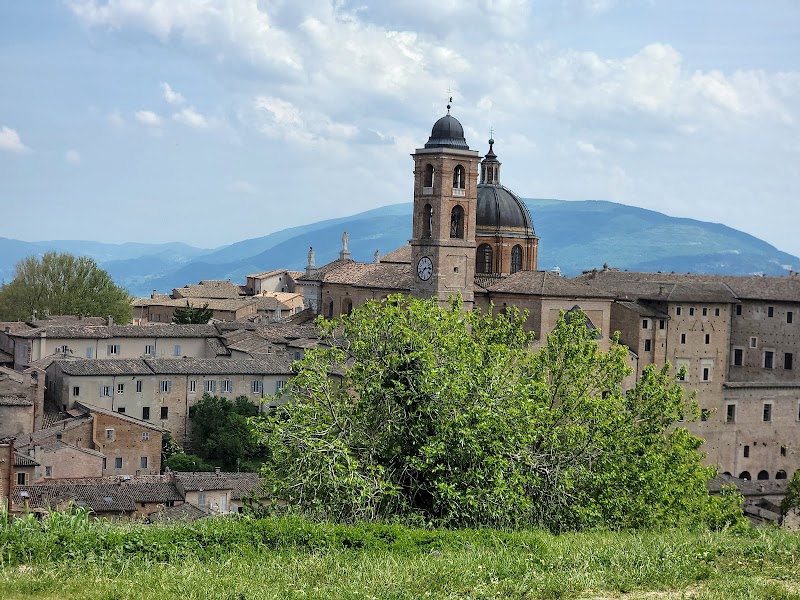 Hotel Tortorina in Urbino, Italy