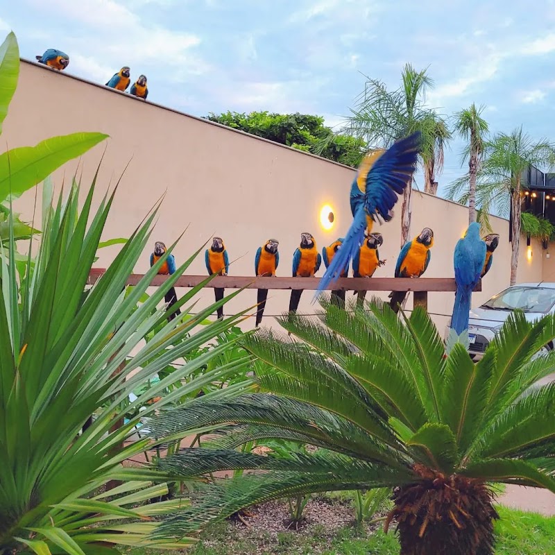 Hotel Vitoria Ilha Solteira in Ilha Solteira, Brazil