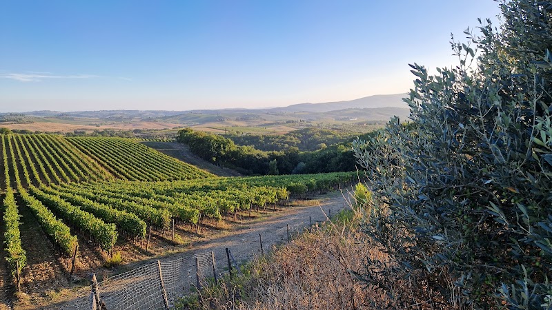 La Casina di Lilliano in Colle di Val d'Elsa, Italy