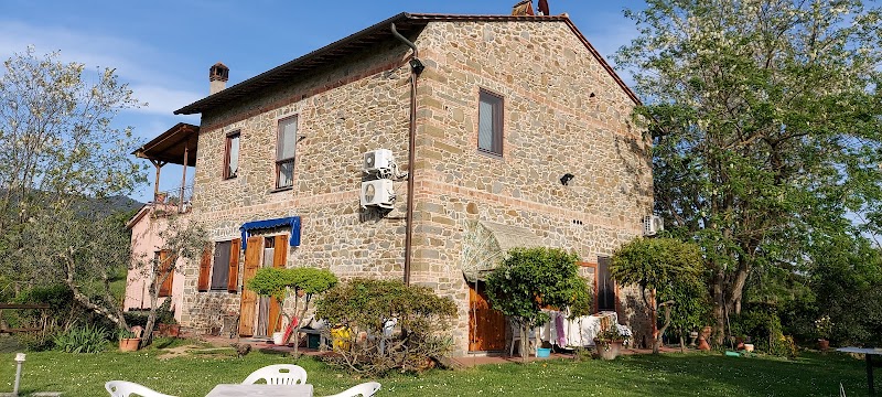 Le Mimose in Vinci, Italy
