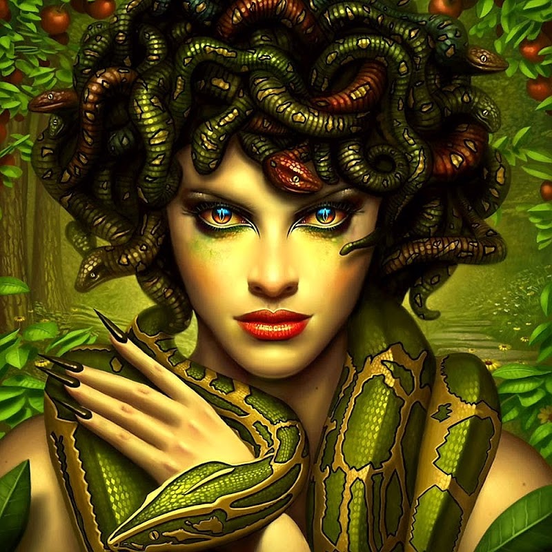 Medusa's Hostel in Aguadilla, Puerto Rico, United States