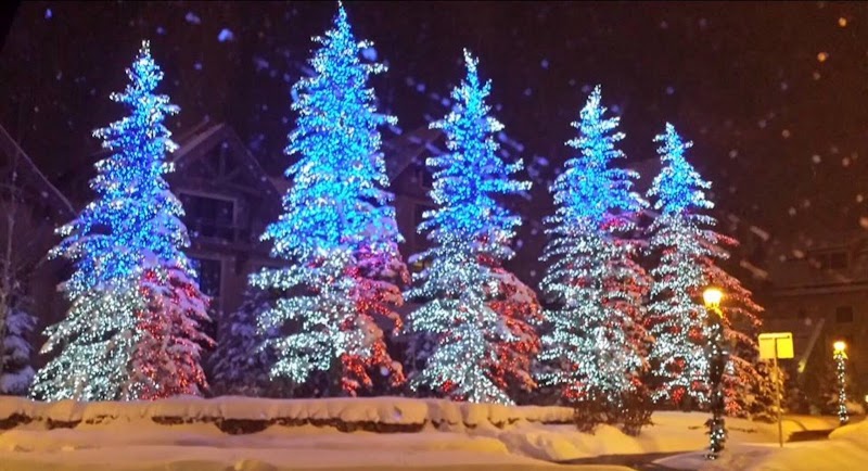 Mein Haus Bed & Breakfast in Avon, Colorado, United States