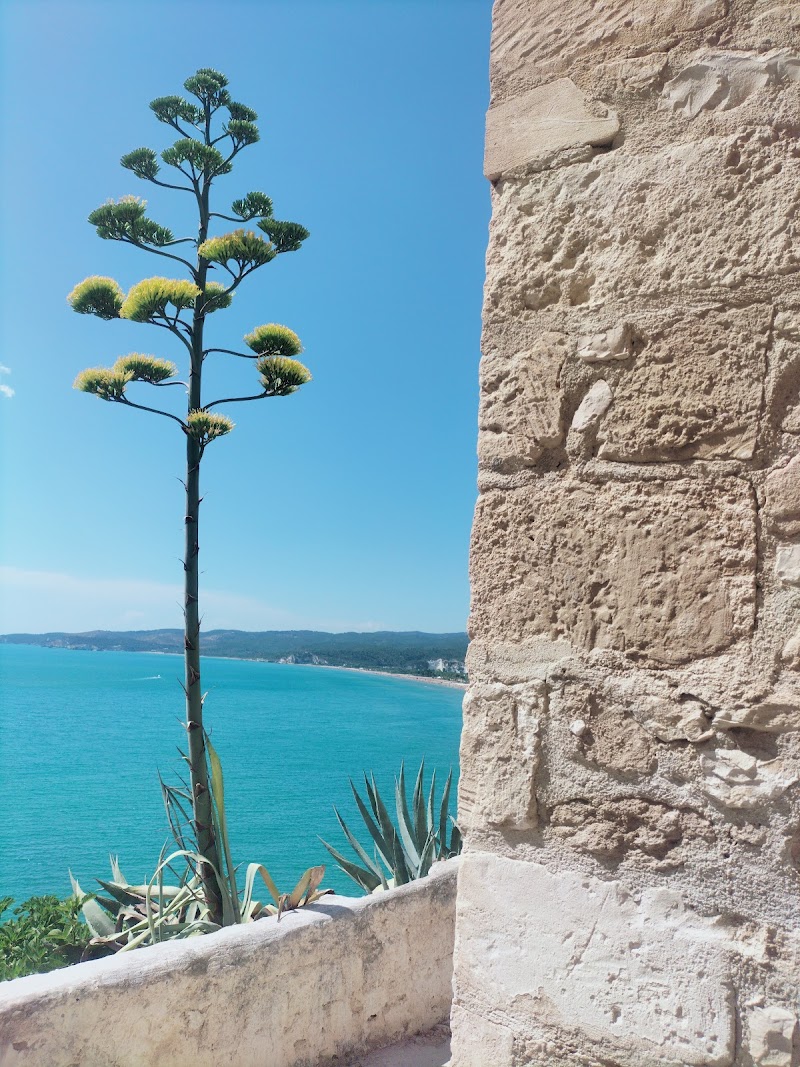 Palace Hotel Vieste in Vieste, Italy