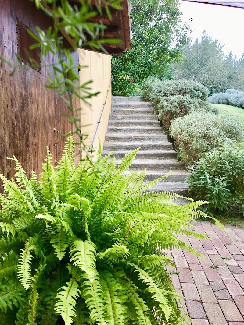 Podere Gattabigia in Lastra a Signa, Italy