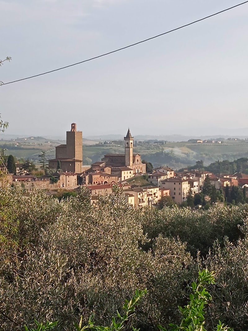 Podere Zollaio in Vinci, Italy
