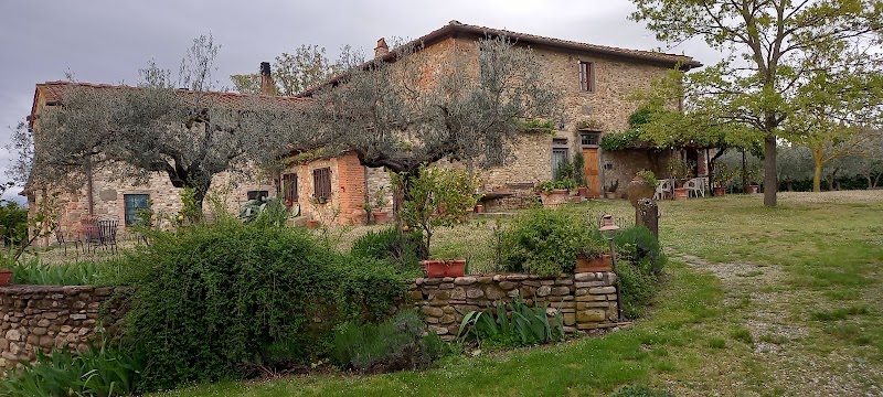 Podere dell'Orto in Montespertoli, Italy