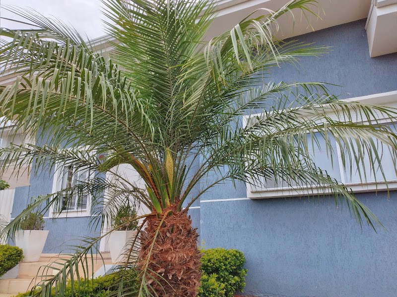 Pousada Lação de Ouro in Tibagi, Brazil