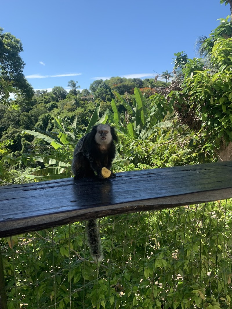 Pousada Recanto dos Pássaros in Mucuge, Brazil