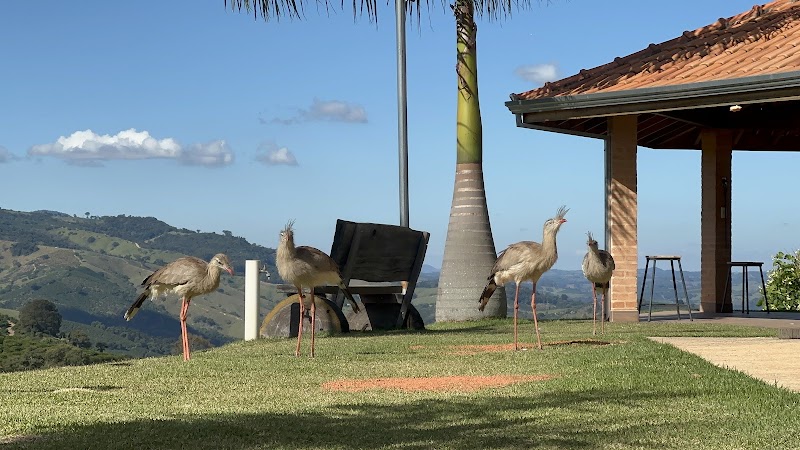 Pousada do Quati in Presidente Figueiredo, Brazil