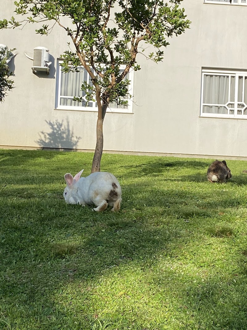 San Bernardo Park Hotel in Vacaria, Brazil