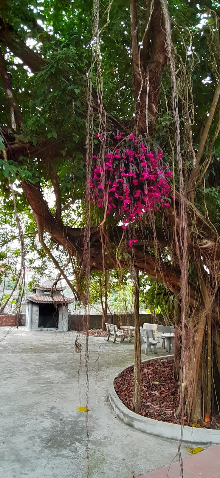 Thanh Hung Hotel in Dien Bien Phu, Vietnam