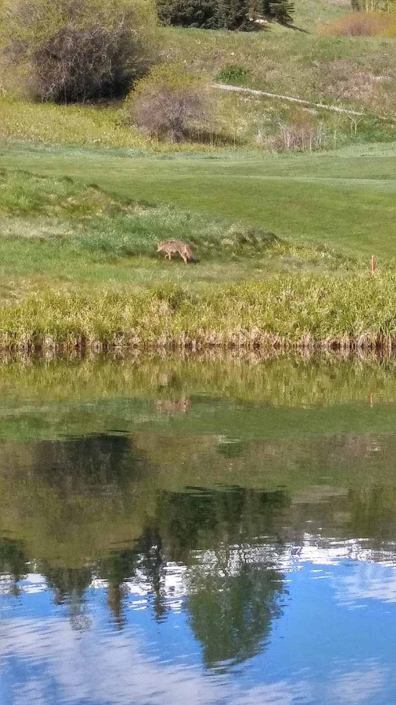 The Snowmass Club in Aspen, Colorado, United States