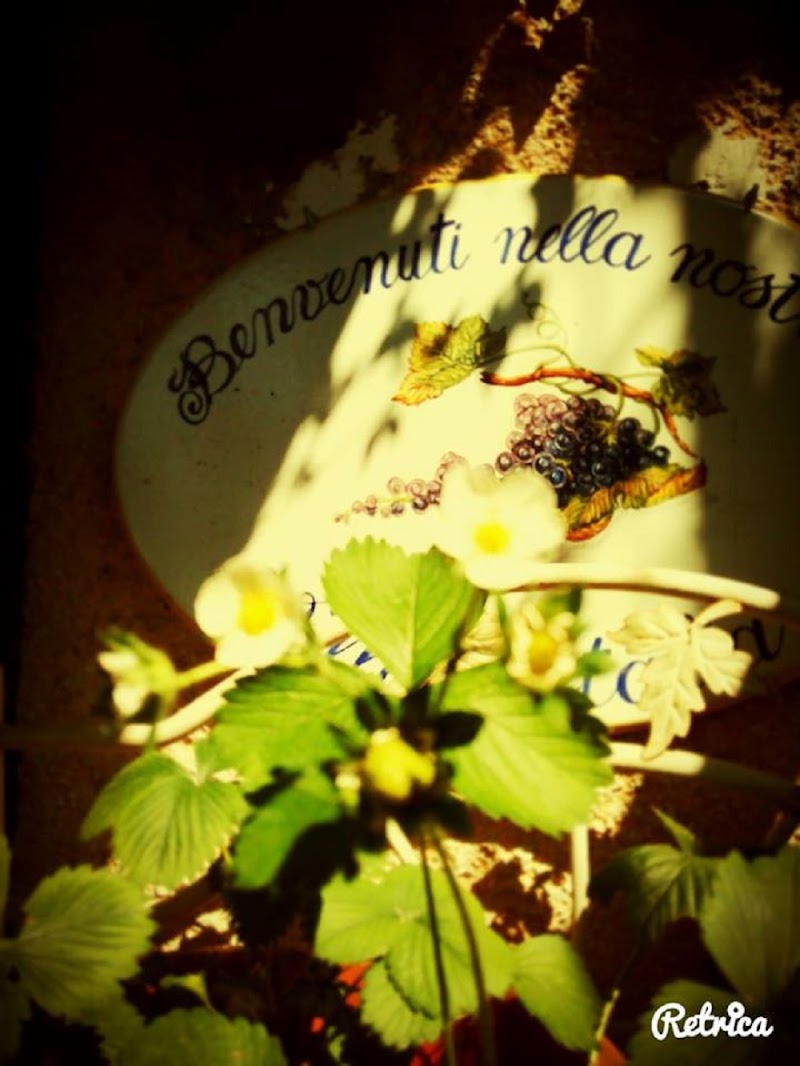 Villa Coldimetino in Gualdo Tadino, Italy