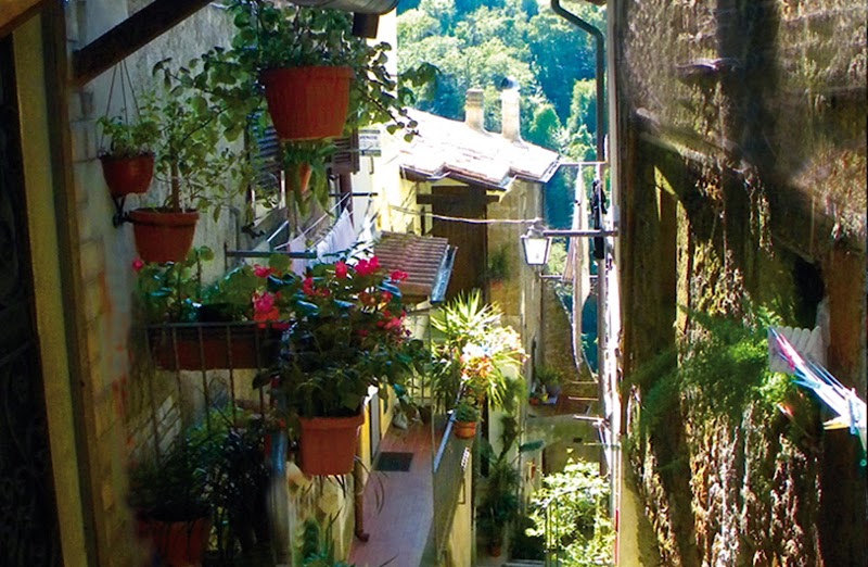 Wiki Hostel & Green Village in Zagarolo, Italy