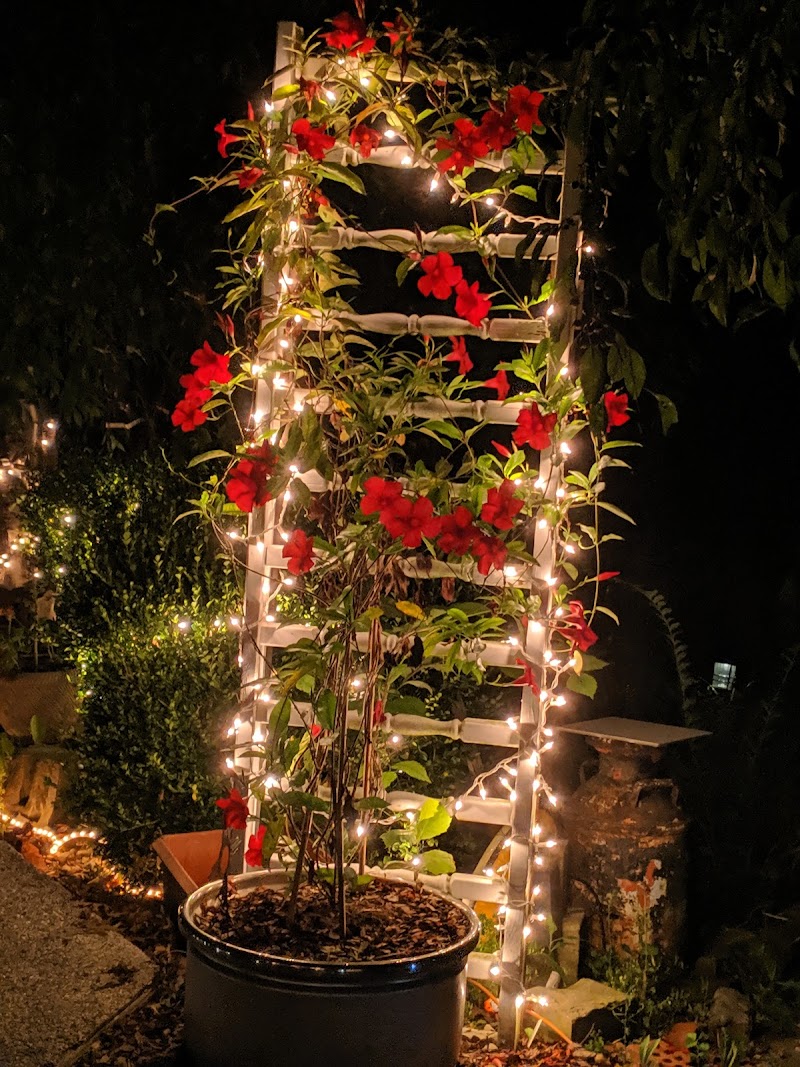 1830 Hallauer House Bed & Breakfast in Oberlin, Ohio, United States