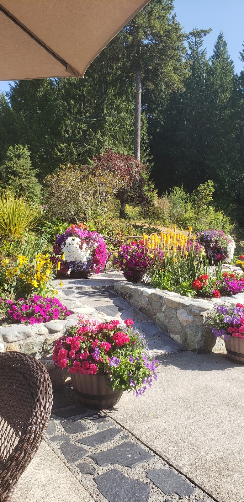 A Hidden Haven in Port Angeles, Washington, United States