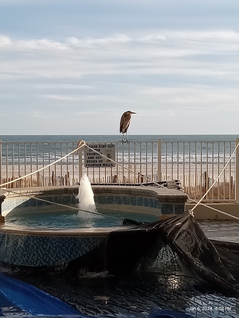 Admirals Quarters in Orange Beach, Alabama, United States