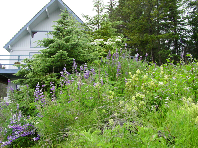 Almost Home Accommodations in Homer, Alaska, United States