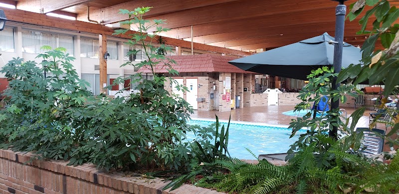 American Alpine Lodge in Gaylord, Michigan, United States