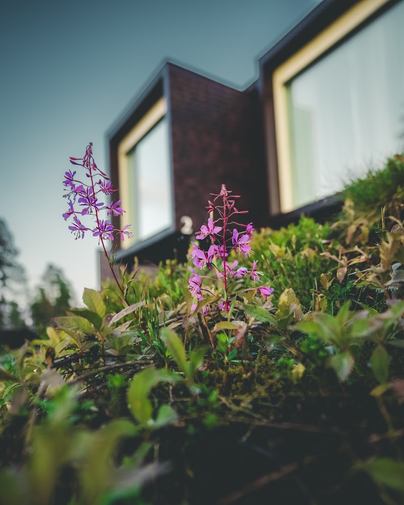 Arctic TreeHouse Hotel in Rovaniemi, Finland