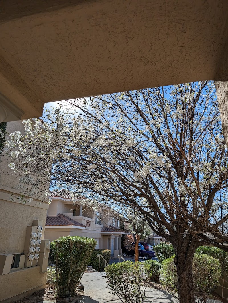 Bellagio Villas in Las Cruces, New Mexico, United States
