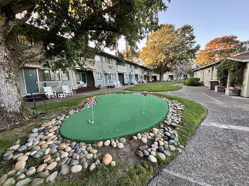 Best Western Corte Madera Inn in Corte Madera, California, United States