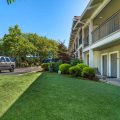 Best Western Plus Inn Scotts Valley