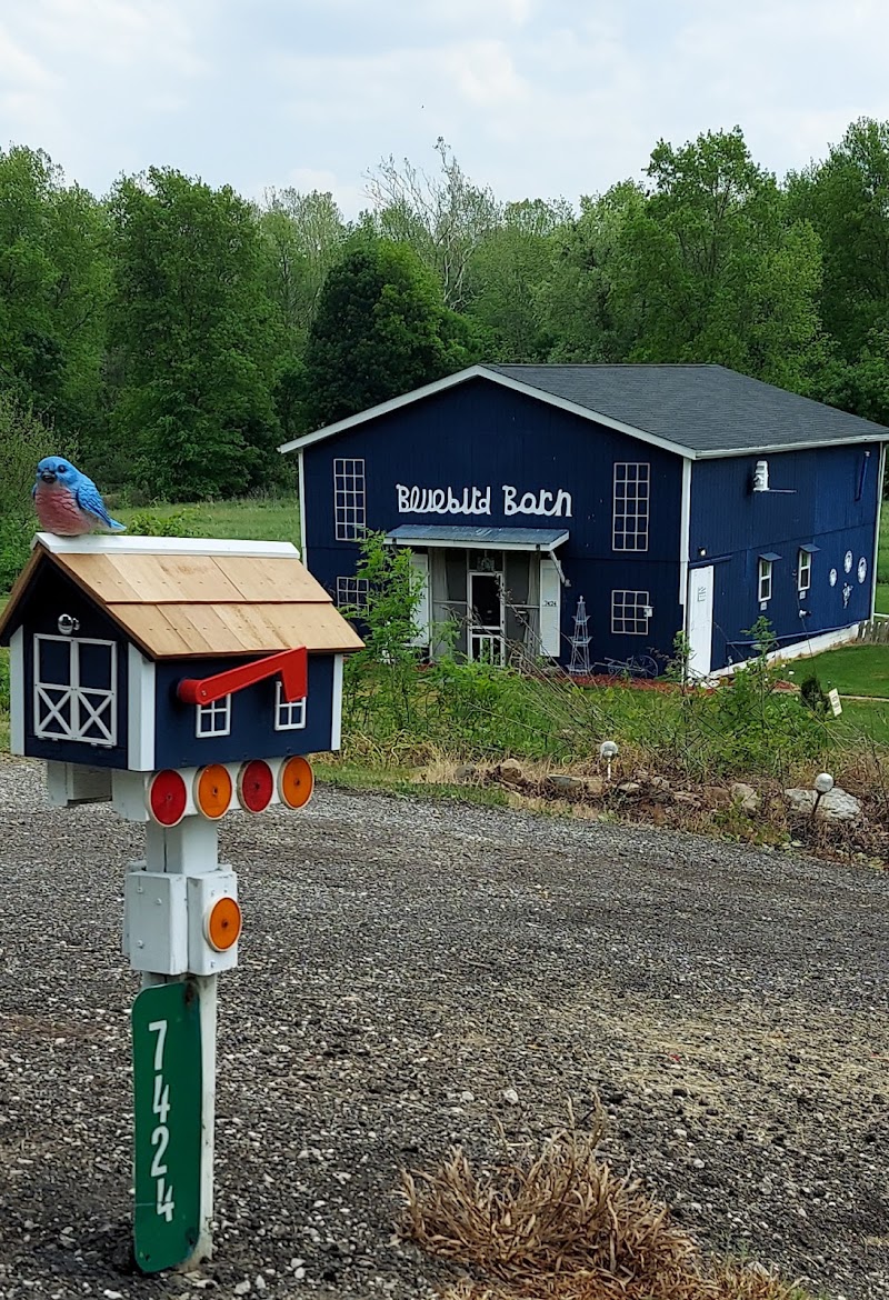 Bluebird Bed & Breakfast in Cleveland, Ohio, United States