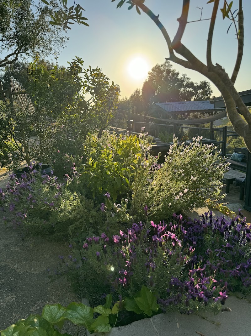 Bluebird Canyon Farm in Laguna Beach, California, United States