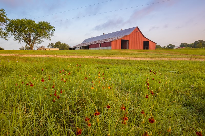 Brenham's Old Mill Creek Retreat in Brenham, Texas, United States
