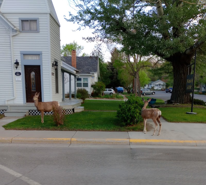 Buffalo Bill's Antlers Inn in Cody, Wyoming, United States