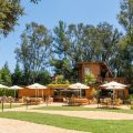 Calamigos Guest Ranch and Beach Club