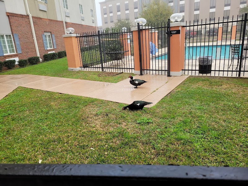 Candlewood Suites League City in League City, Texas, United States