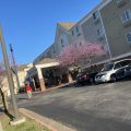 Candlewood Suites Rogers/Bentonville