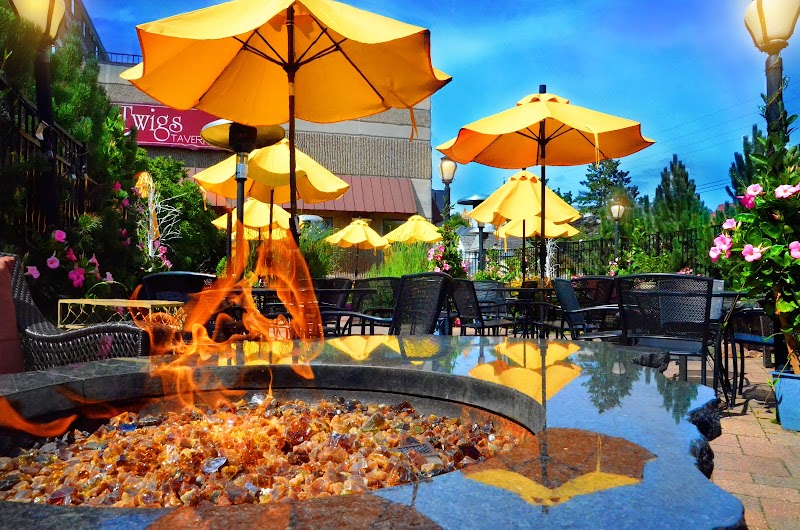 Centerstone Plaza Hotel Soldiers Field in Rochester, Minnesota, United States